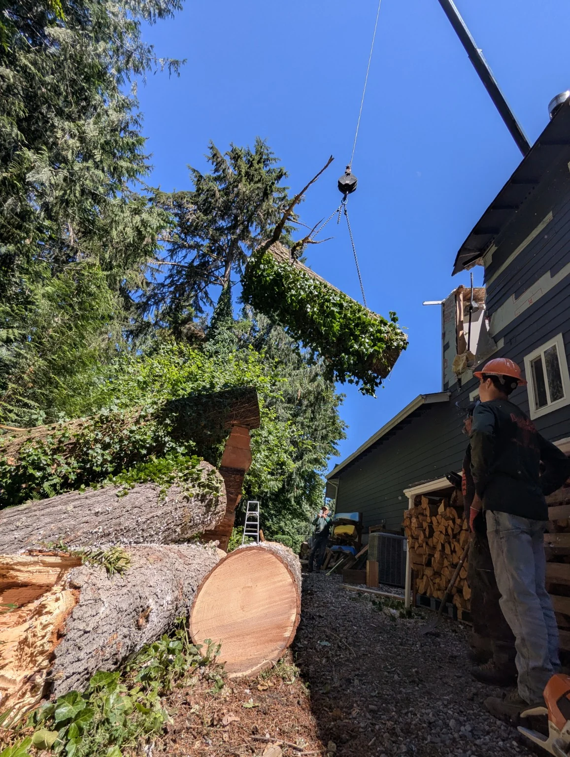 A cut tree section being lifted by crane on a CHETS job