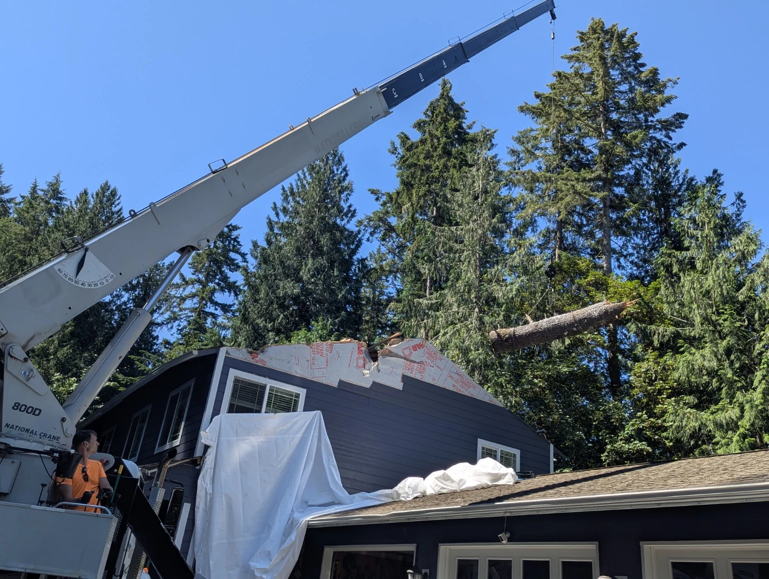 CHETS crane and crew set up for a difficult tree removal