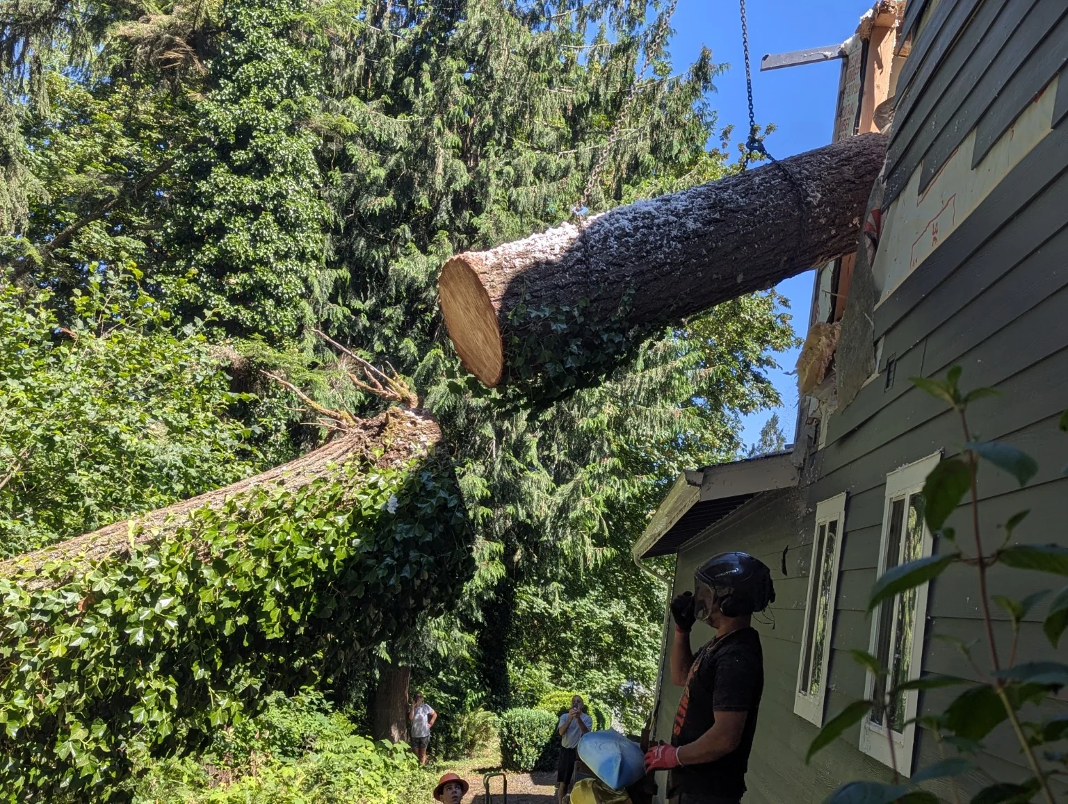 CHETS using rigging to control a tree section during removal